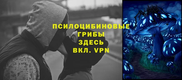 кокс Гусев