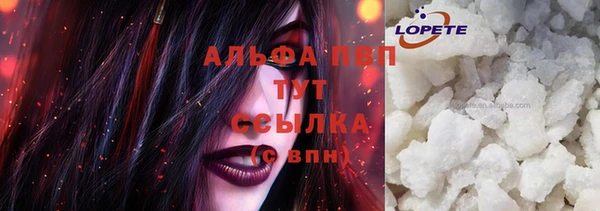 прущие грибы Дмитровск