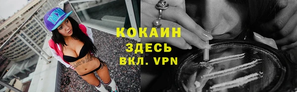 ALPHA PVP Дмитриев
