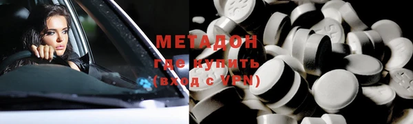 прущие грибы Дмитровск