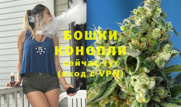 a pvp Гусь-Хрустальный