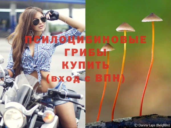герыч Дмитров