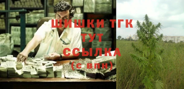 прущие грибы Дмитровск