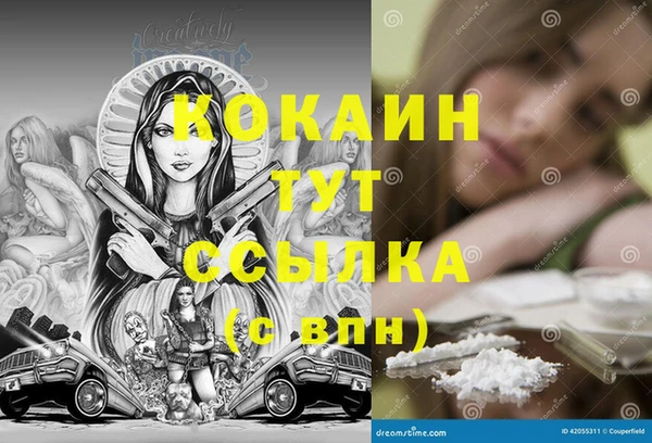 кокс Гусев