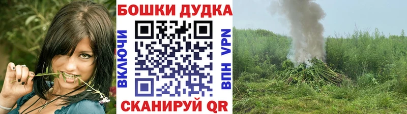 где продают наркотики Армавир Бошки марихуана гибрид
